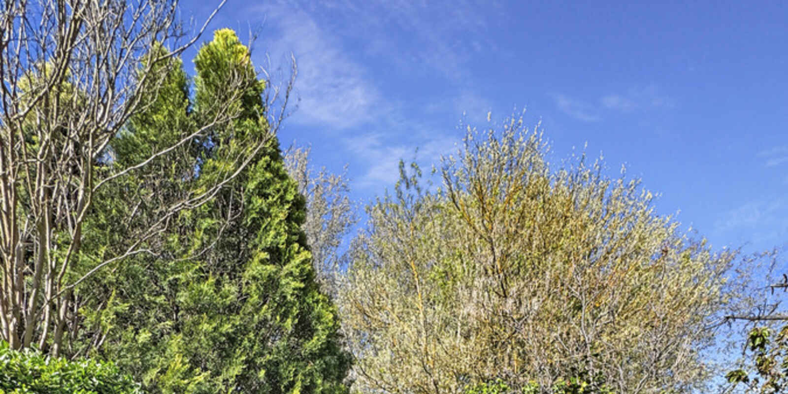 15 Albert Street Hermitage Flat Lithgow