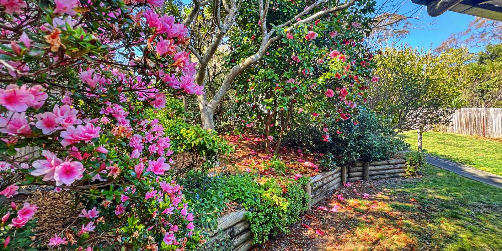 43 Mountbatten Street Blackheath