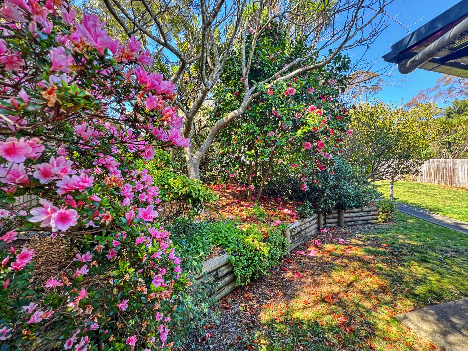 43 Mountbatten Street Blackheath